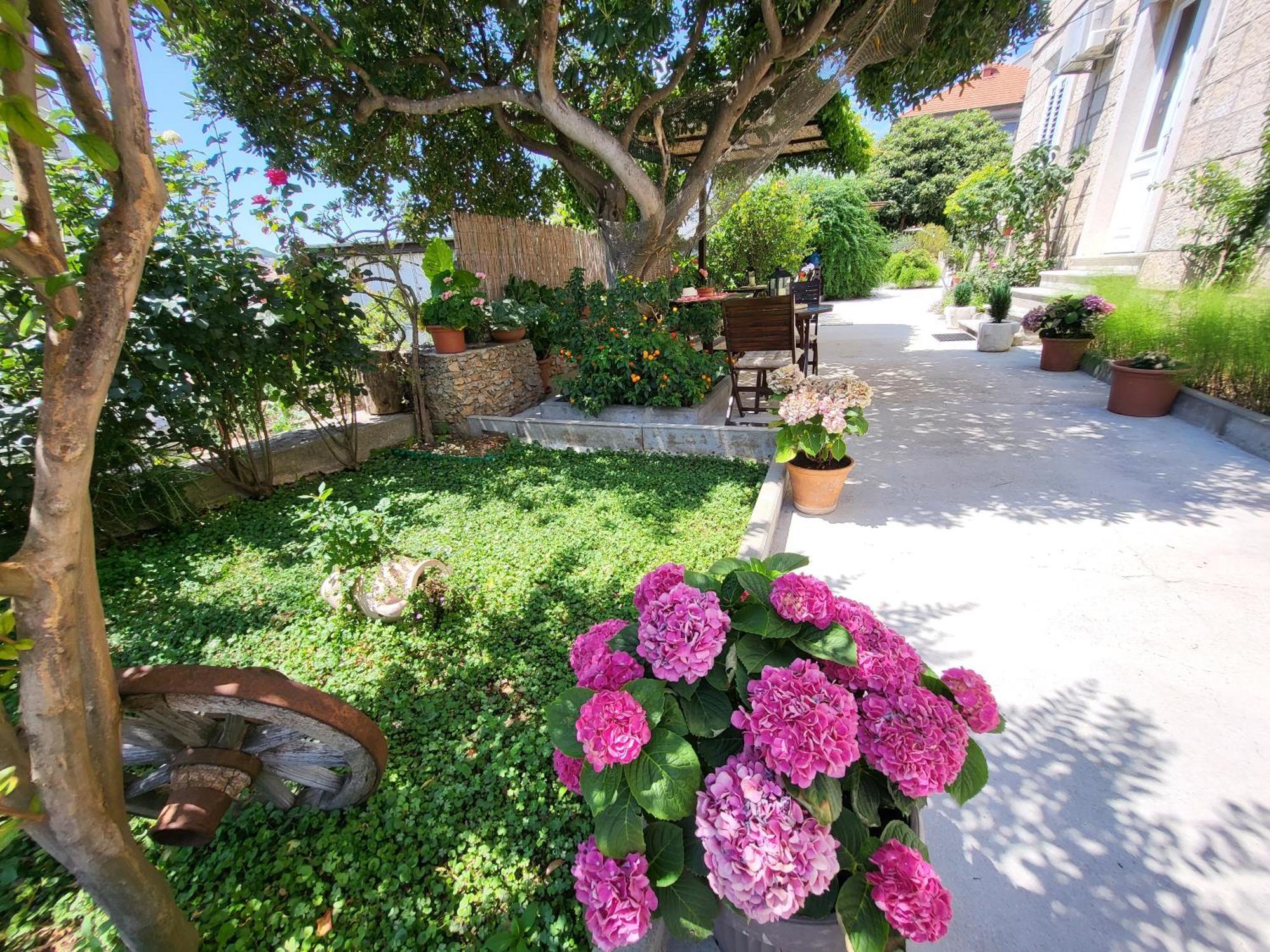 Apartments Miljas Ντουμπρόβνικ Εξωτερικό φωτογραφία